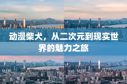 动漫柴犬，从二次元到现实世界的魅力之旅
