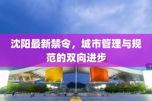 沈阳最新禁令，城市管理与规范的双向进步