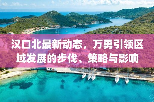 汉口北最新动态，万勇引领区域发展的步伐、策略与影响