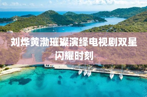 刘烨黄渤璀璨演绎电视剧双星闪耀时刻