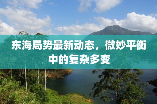 东海局势最新动态，微妙平衡中的复杂多变
