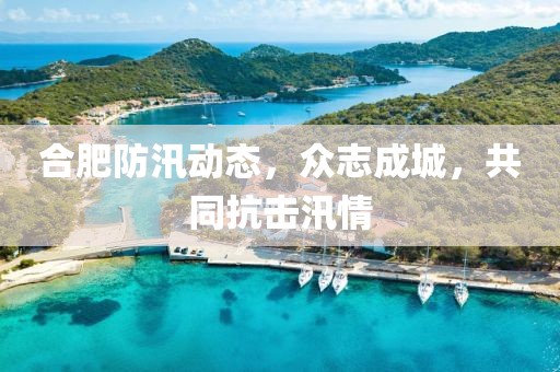合肥防汛动态，众志成城，共同抗击汛情