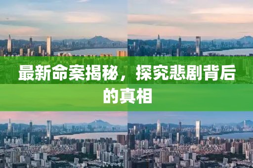 最新命案揭秘，探究悲剧背后的真相