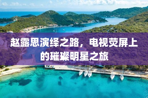 赵露思演绎之路，电视荧屏上的璀璨明星之旅