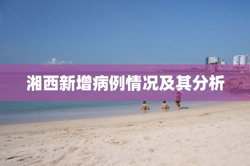 湘西新增病例情况及其分析