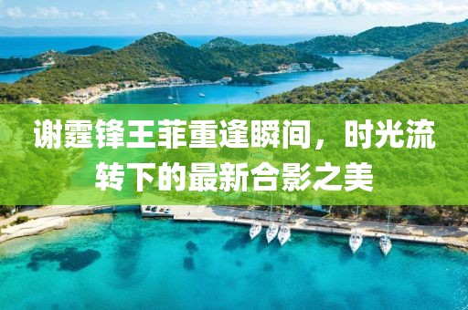 谢霆锋王菲重逢瞬间，时光流转下的最新合影之美