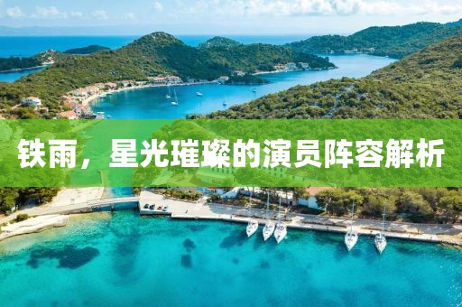 铁雨，星光璀璨的演员阵容解析