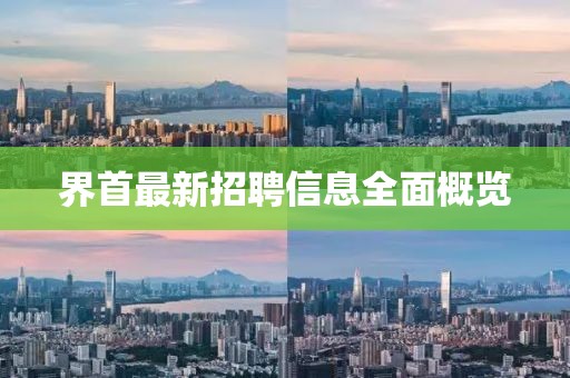 界首最新招聘信息全面概览