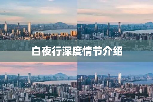 白夜行深度情节介绍