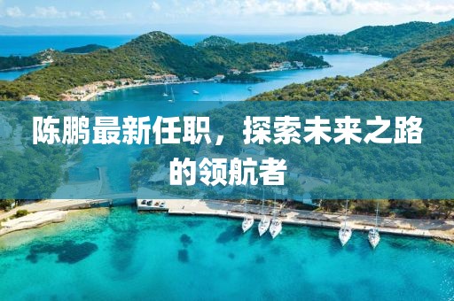 陈鹏最新任职，探索未来之路的领航者