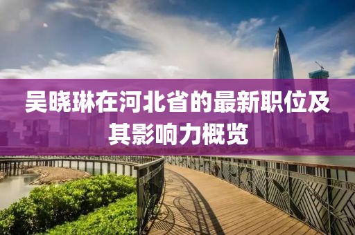 吴晓琳在河北省的最新职位及其影响力概览