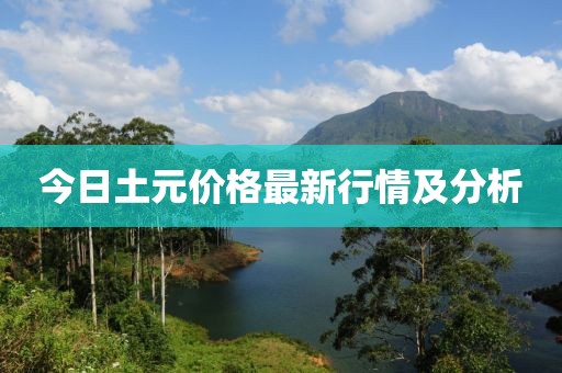 今日土元价格最新行情及分析