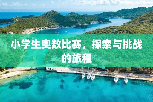 小学生奥数比赛，探索与挑战的旅程