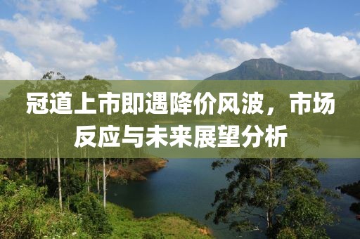 冠道上市即遇降价风波，市场反应与未来展望分析