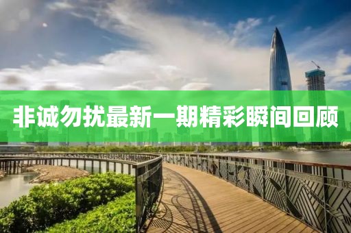 非诚勿扰最新一期精彩瞬间回顾