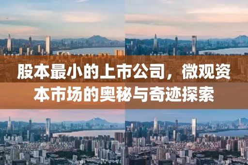 股本最小的上市公司，微观资本市场的奥秘与奇迹探索