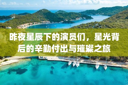 昨夜星辰下的演员们，星光背后的辛勤付出与璀璨之旅