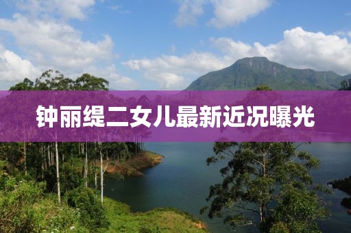 钟丽缇二女儿最新近况曝光