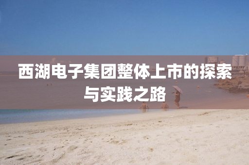 西湖电子集团整体上市的探索与实践之路