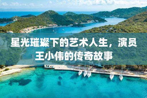 星光璀璨下的艺术人生，演员王小伟的传奇故事