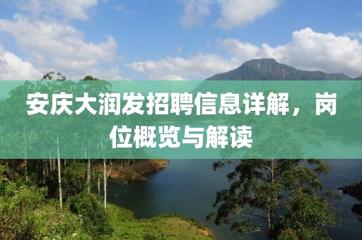 安庆大润发招聘信息详解，岗位概览与解读