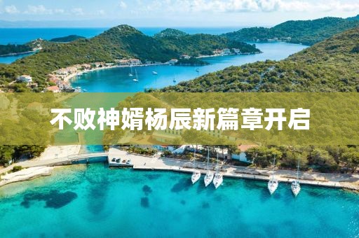 不败神婿杨辰新篇章开启