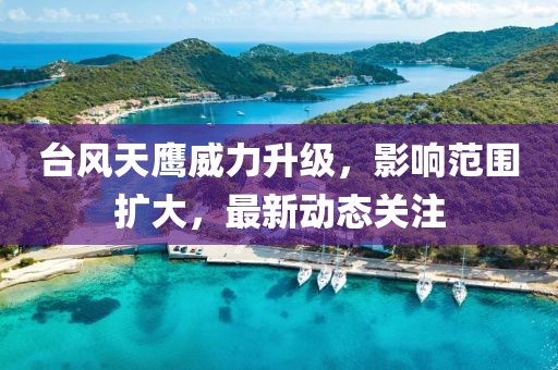 台风天鹰威力升级，影响范围扩大，最新动态关注