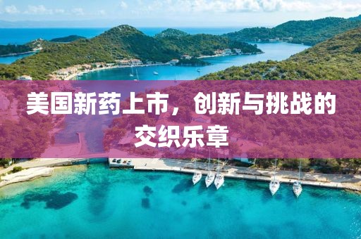 美国新药上市，创新与挑战的交织乐章