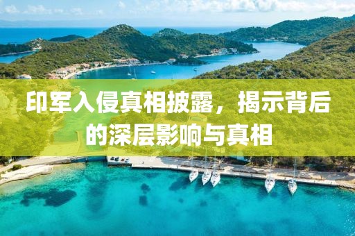 印军入侵真相披露，揭示背后的深层影响与真相