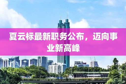 夏云标最新职务公布，迈向事业新高峰