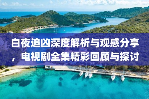 白夜追凶深度解析与观感分享，电视剧全集精彩回顾与探讨