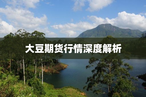 大豆期货行情深度解析