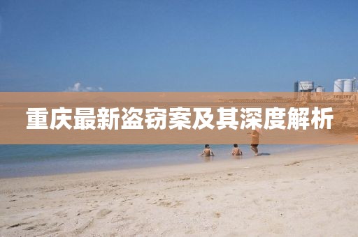 重庆最新盗窃案及其深度解析