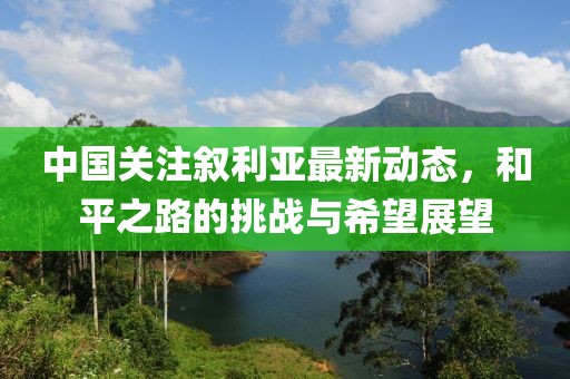 中国关注叙利亚最新动态，和平之路的挑战与希望展望