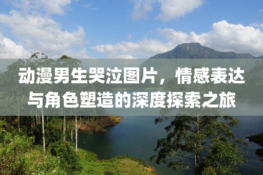 动漫男生哭泣图片，情感表达与角色塑造的深度探索之旅