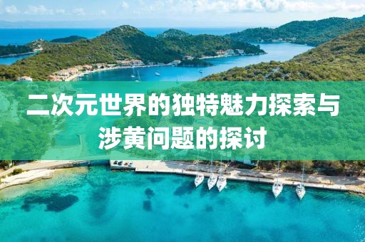 二次元世界的独特魅力探索与涉黄问题的探讨
