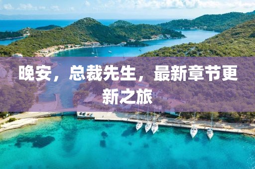 晚安，总裁先生，最新章节更新之旅