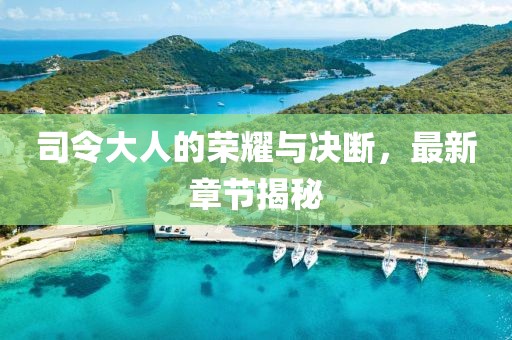 司令大人的荣耀与决断，最新章节揭秘