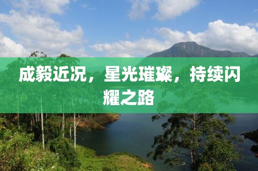 成毅近况，星光璀璨，持续闪耀之路