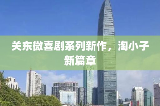 关东微喜剧系列新作，淘小子新篇章