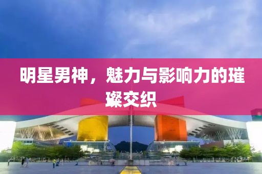明星男神，魅力与影响力的璀璨交织