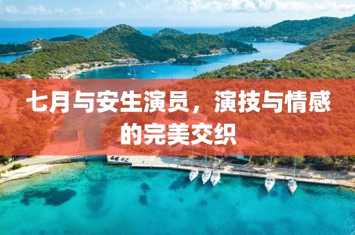 七月与安生演员，演技与情感的完美交织