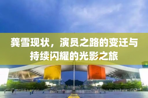 龚雪现状，演员之路的变迁与持续闪耀的光影之旅