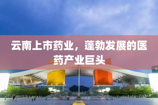 云南上市药业，蓬勃发展的医药产业巨头