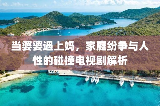 当婆婆遇上妈，家庭纷争与人性的碰撞电视剧解析