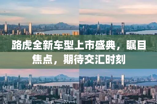 路虎全新车型上市盛典，瞩目焦点，期待交汇时刻