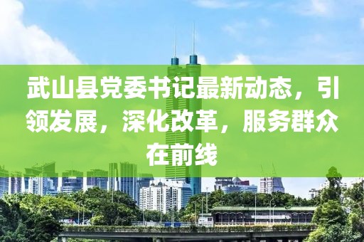 武山县党委书记最新动态，引领发展，深化改革，服务群众在前线