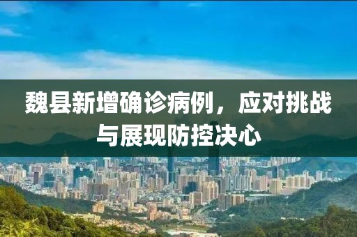魏县新增确诊病例，应对挑战与展现防控决心