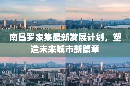 南昌罗家集最新发展计划，塑造未来城市新篇章