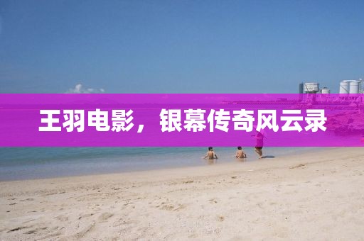 王羽电影，银幕传奇风云录